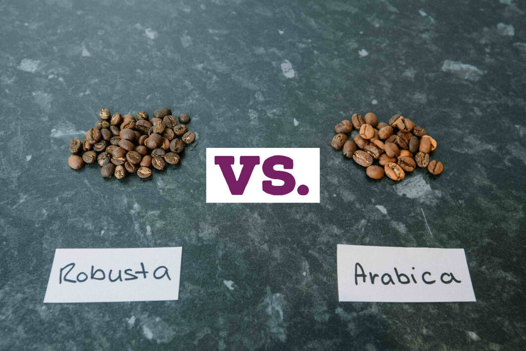 Arabica vs. Robusta beans on a table