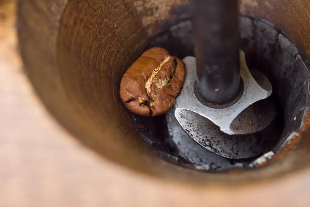 coffee bean in burr grinder